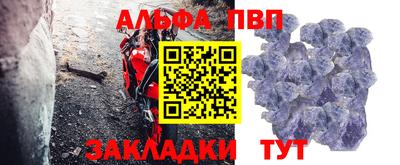 гидра Краснознаменск