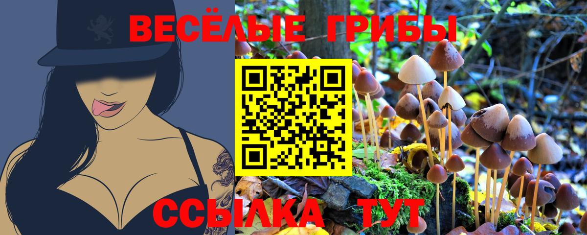 Елец  Галлюциногенные грибы ЛСД  Псилоцибиновые грибы прущие грибы  даркнет сайт  Вход с VPN 